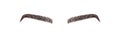 Elegant female eyebrows shape. Brow master logo. Permanent make-up and microblading. Linear vector Illustration in