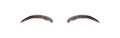 Elegant female eyebrows shape. Brow master logo. Permanent make-up and microblading. Linear vector Illustration in