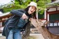 Tourist feeding deer with cheerful smile