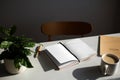 Elegant feminine workspace at sunset. Open notebook, cup of coffee, pen, green plant on table. Aesthetic home office desk Royalty Free Stock Photo