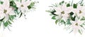 Elegant festive winter season floral site banner Facebook cover design. White Poinsettia flowers, Christmas spruce tree twigs,