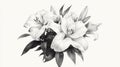 Elegant fine line drawing of a lily bouquet symbolizing purity and grace