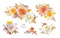 Elegant, floral bouquet. Fall watercolor flowers. Peach, yellow, white roses, cream dahlia, red berry, autumn leaves. Editable, Royalty Free Stock Photo