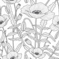 Elegant floral seamless pattern with poppy flowers