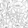 Elegant floral seamless pattern with poppy flowers