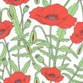 Elegant floral seamless pattern with poppy flowers Royalty Free Stock Photo