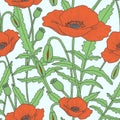 Elegant floral seamless pattern with poppy flowers
