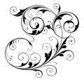 Elegant, flowing scroll design