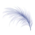 Elegant fluffy bluish feather of a swan, goose. Decorative element for theatrical costumes, carnival outfits, hats, bouquets of