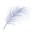 Elegant fluffy bluish feather of a swan, goose. Decorative element for theatrical costumes, carnival outfits, hats, bouquets of