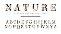 Elegant font with floral decoration on letters