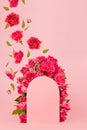 Elegant framing of arch of fresh little roses as abstract podium with soar buds and green leaves as flow on pink stage for present