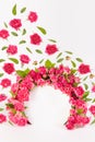 Elegant framing of round arch of fresh little roses as abstract podium with soar buds and green leaves as flow on white stage.