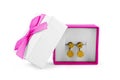 Elegant gift box with pearl earrings. Golden accessory in turquoise gift box. Beautiful gift for Mothers Day
