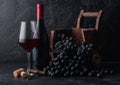 Elegant glass and bottle of red wine with dark grapes inside vintage wooden barrel on black stone background. Natural Light Royalty Free Stock Photo