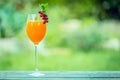 Elegant glass of fresh orange juice