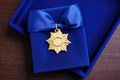 an elegant, gold honor roll pin on a royal blue cloth Royalty Free Stock Photo