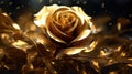 elegant gold roses background