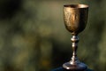 Holy Grail. Elegant, glod, vintage cup on blurry background