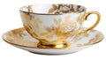 Elegant Gold and White Teacup Saucer Plate Collection Royalty Free Stock Photo