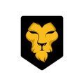 Elegant golden lion head, lion face on shield logo design. animal wildlife vector illustration. universal brand template