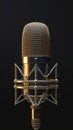 Elegant golden microphone frontally positioned on black background, podcast symbol