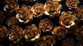elegant golden roses background
