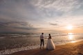 Elegant gorgeous bride and groom walking on ocean beach during sunset time. Romantic walk newlyweds on tropical island Royalty Free Stock Photo