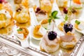 Elegant Gourmet Appetizer Selection. Horizontal photo Royalty Free Stock Photo