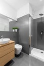 Elegant gray and white bathroom