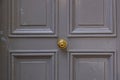 Elegant gray color painted wooden door surface with relief frames and round vintage knob in center. Details of Paris door.