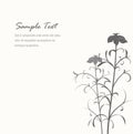 Elegant gray flower background with sample text