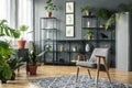 Elegant, gray living room interior with plants on metal racks st Royalty Free Stock Photo