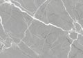 Elegant gray marble texture with white veins for backgrounds Royalty Free Stock Photo