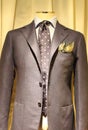 Elegant gray suit Royalty Free Stock Photo