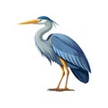Elegant Great Blue Heron Bird Vector Royalty Free Stock Photo