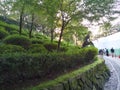 Elegant green bushes and trees in kyoto japan