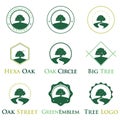 Elegant Green Ecology Oak Tree Logo Identity Bundle Set Royalty Free Stock Photo