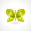 Elegant Green Gradient Butterfly Icon On White