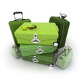 Elegant green luggage kit