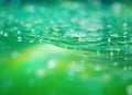 Elegant green swirling waves on a gradient yellow background as a backdrop of sparkling water Royalty Free Stock Photo
