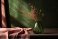 Elegant green table with luxurious pink velvet cloth and glass background, AI generated Royalty Free Stock Photo
