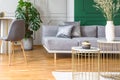 Elegant grey and green living room with golden detailes Royalty Free Stock Photo