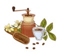 Elegant hand drawn composition with grinder, beans, scoop, branch of coffee plant with leaves, flowers and berries, cup