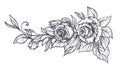 Elegant hand drawn graphic bouquet with rose flowers and leaves