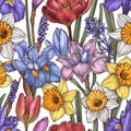 Elegant Hand-Drawn Spring Flowers Illustration with Tulips and Daffodils Perfect for Invitations and Botanical Themes Pattern