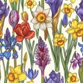 Elegant Hand-Drawn Spring Flowers Illustration with Tulips and Daffodils Perfect for Invitations and Botanical Themes Pattern