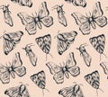 Elegant handdrawn ink moth pattern black on beige