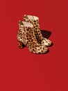 Elegant high heel shoes with a leopard print against contrast red background.