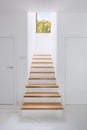 Elegant home corridor with stairs Royalty Free Stock Photo